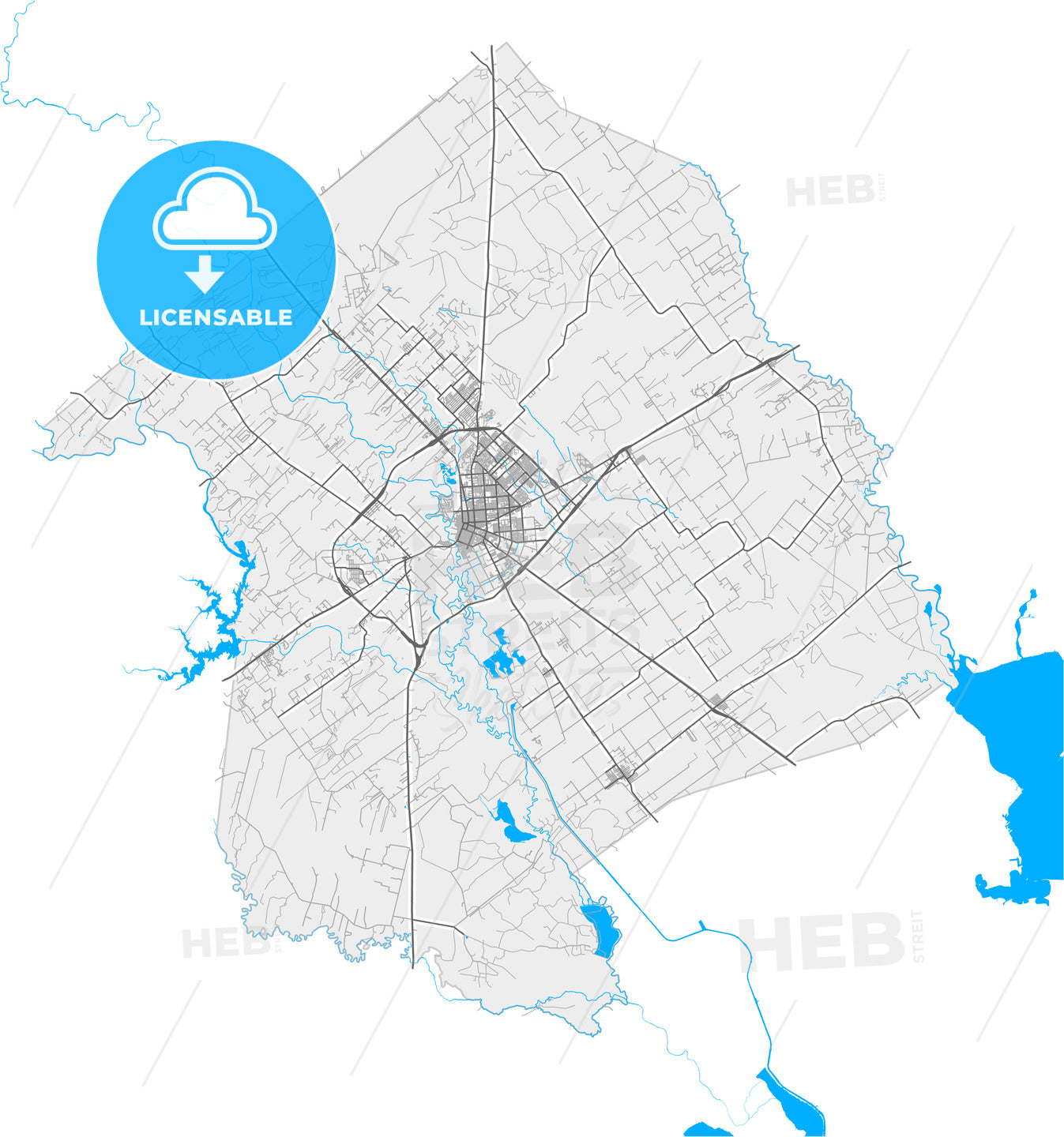 Victoria, Texas, United States, high quality vector map