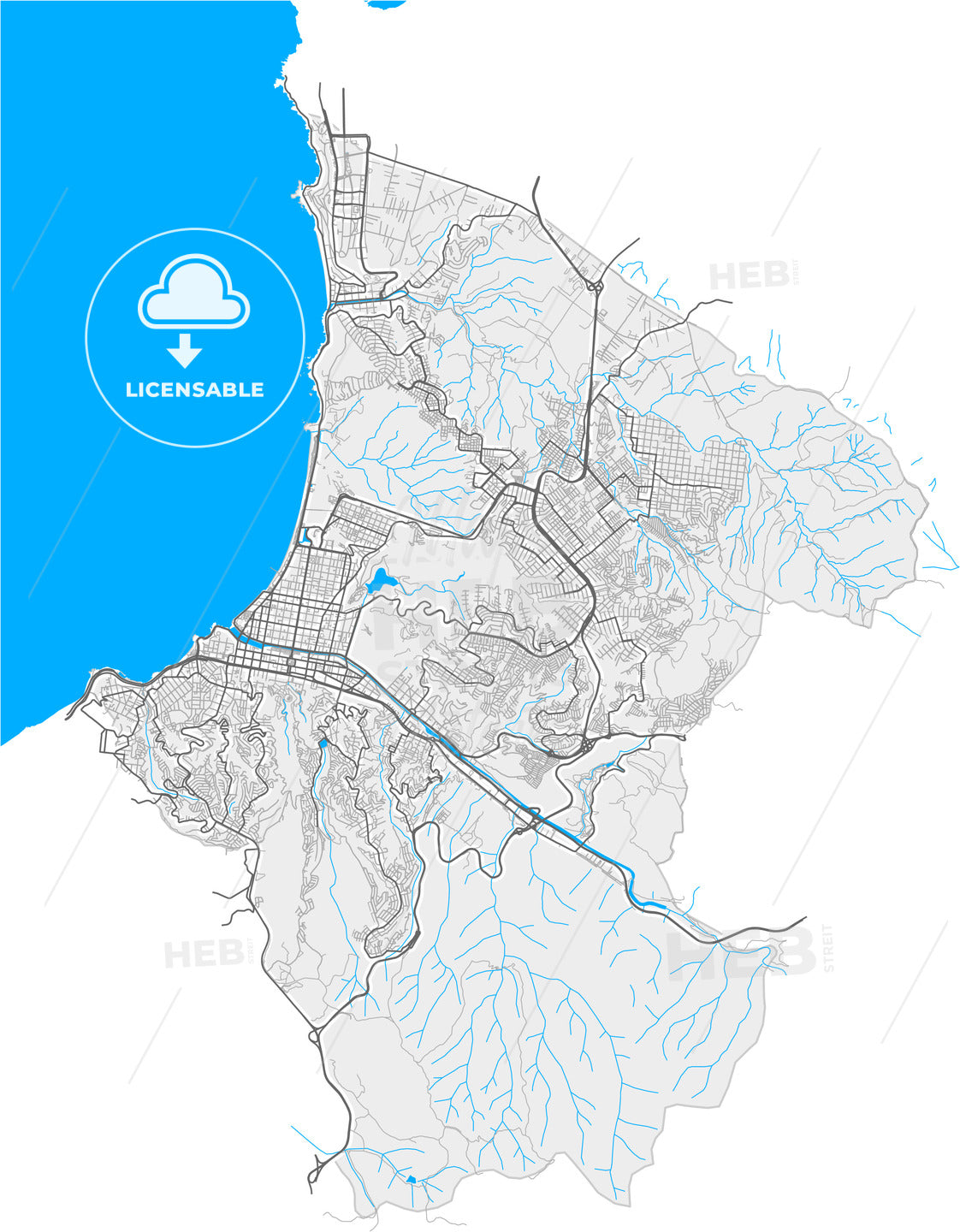 Vina del Mar, Chile, high quality vector map