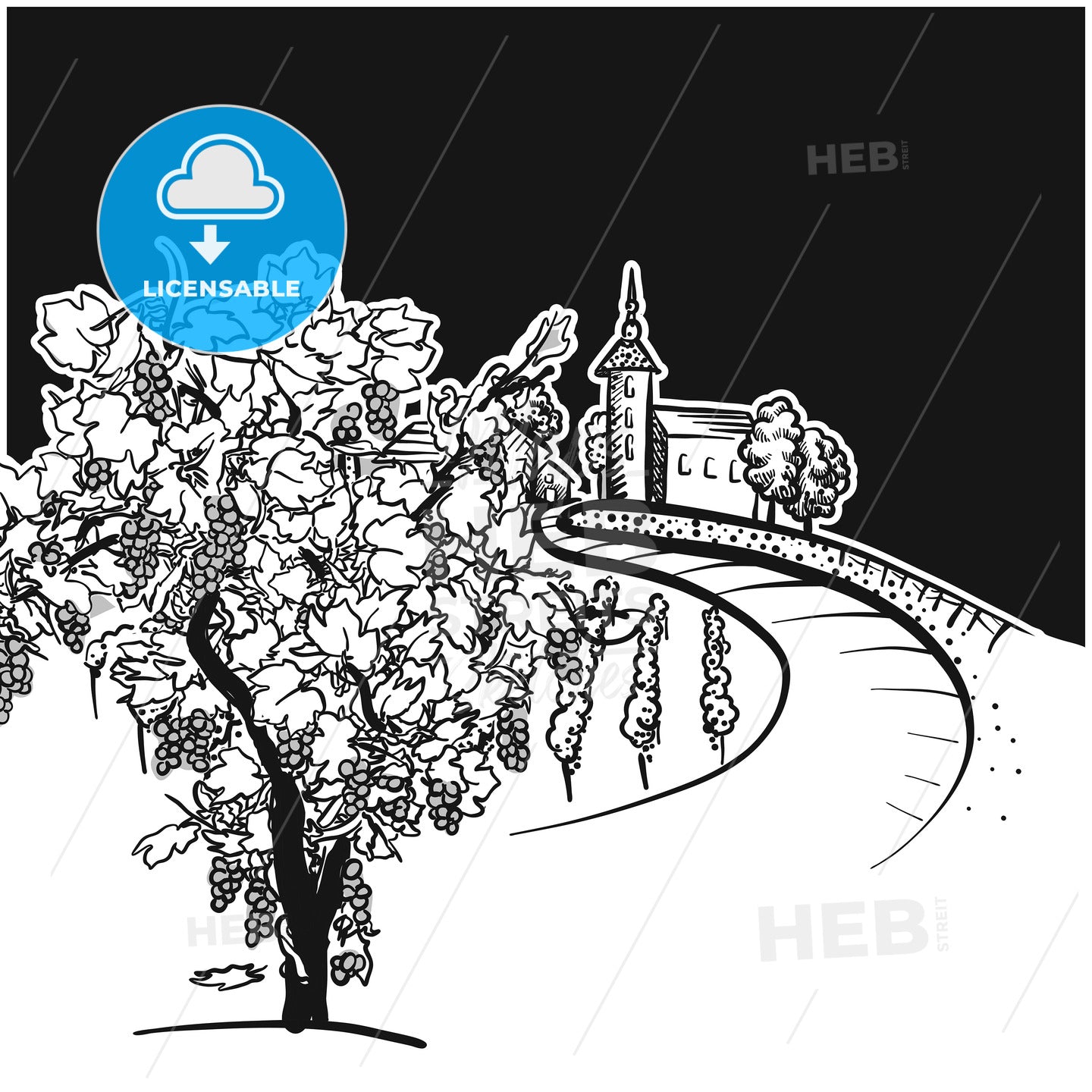 Vine tree and vineyard drawing detail – instant download
