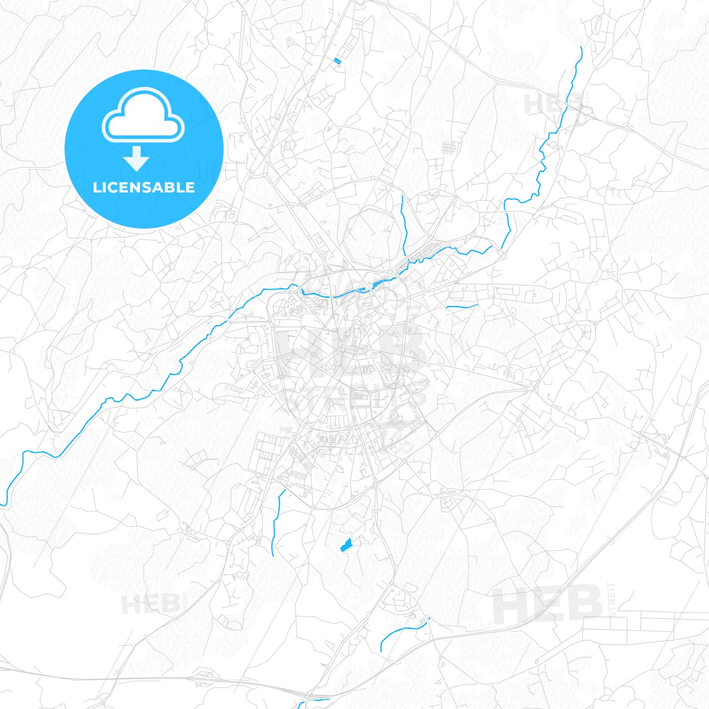 Viseu, Portugal PDF vector map with water in focus