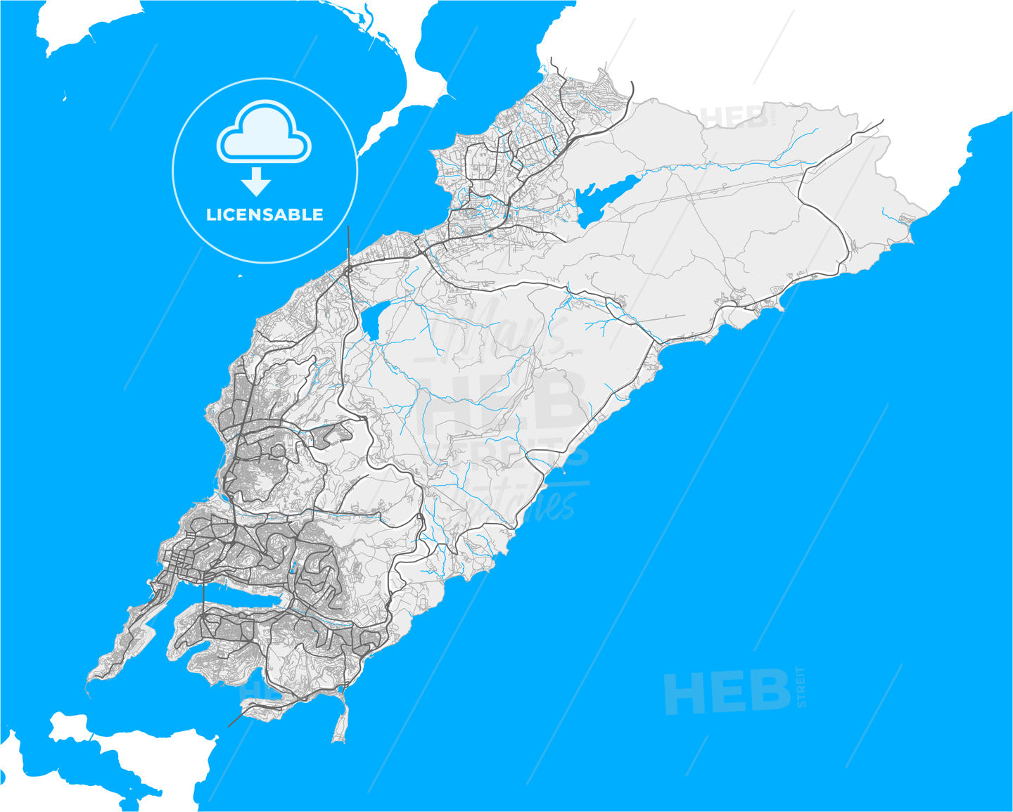 Vladivostok, Primorsky Krai, Russia, high quality vector map