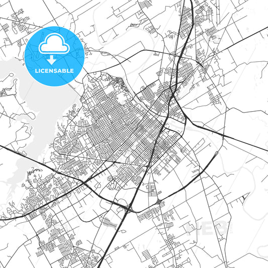 Waco, Texas - Area Map - Light