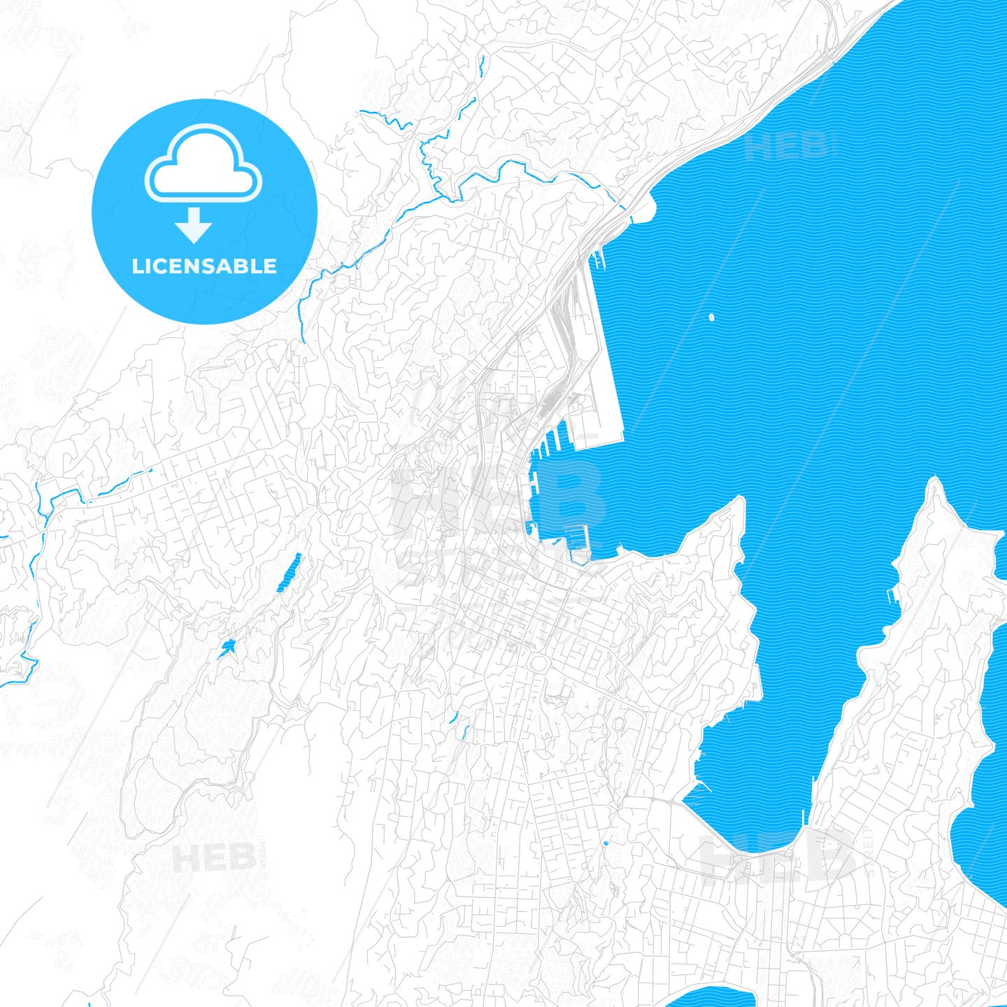 Wellington, New Zealand PDF vector map with water in focus