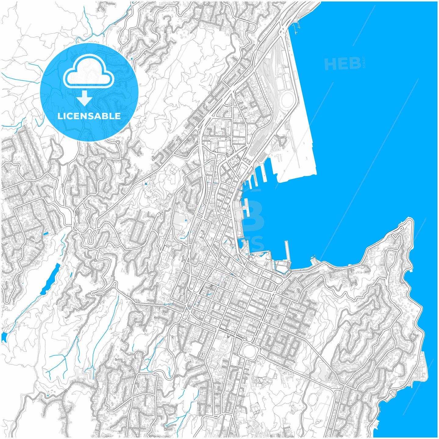 Wellington, New Zealand, city map with high quality roads.