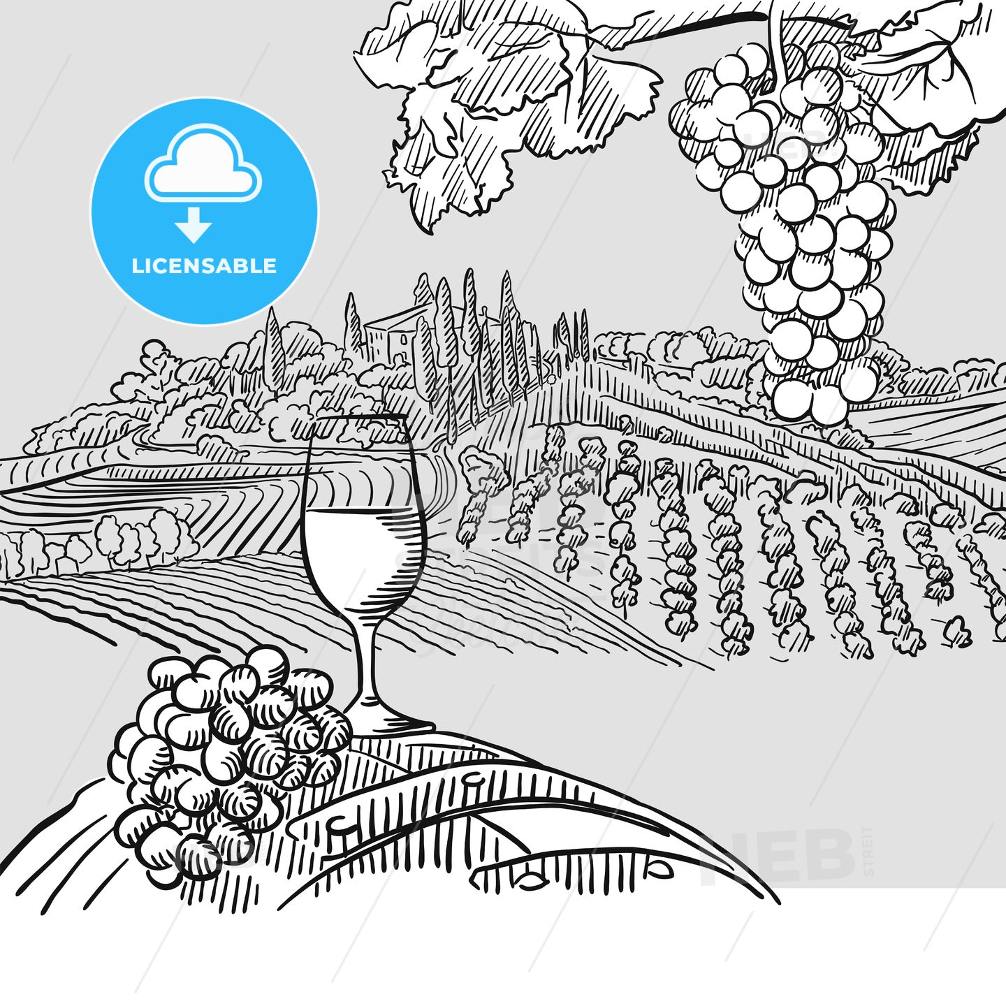 Wine barrel grapes and landscape Illustration – instant download