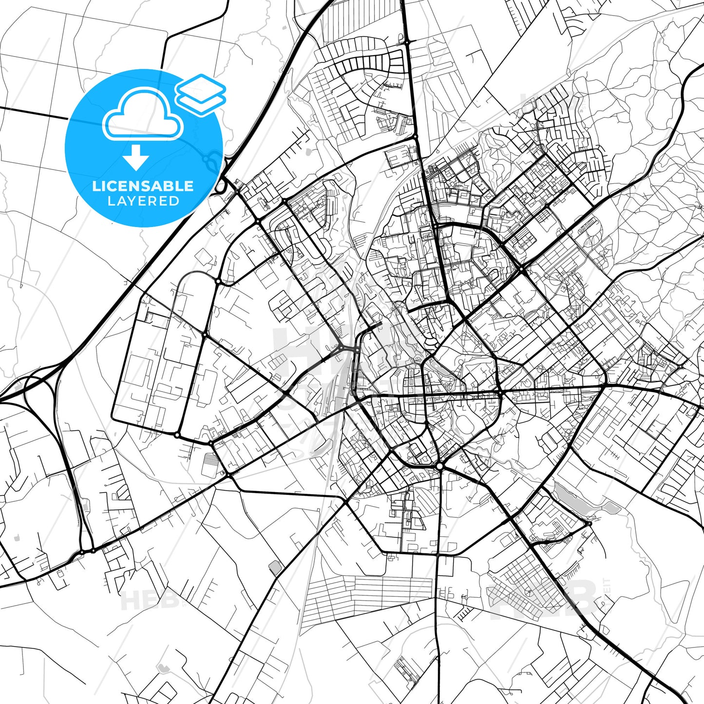 Layered PDF map of Koszalin, West Pomeranian, Poland