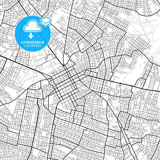 Layered PDF map of San Lorenzo, Paraguay