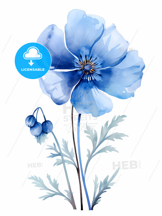 Relax - A Blue Flower With Leaves