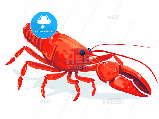 A Red Lobster With A White Background